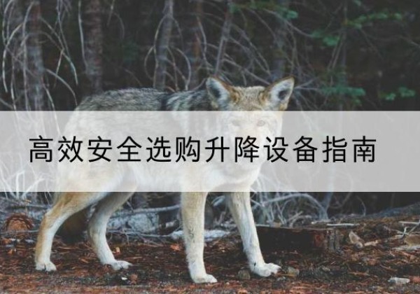 安吉升降货梯厂家推荐-*安全选购升降设备指南