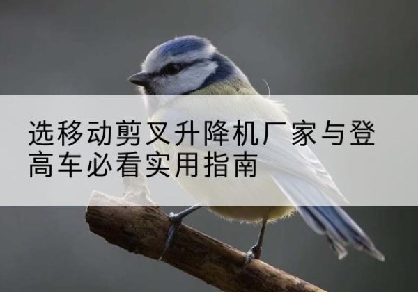安吉电动升降机厂家-选移动剪叉升降机厂家与登高车必看实用指南