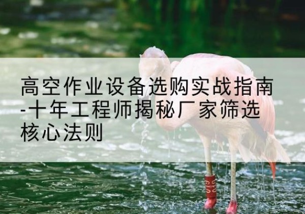 安吉剪叉式升降机厂家-高空作业设备选购实战指南-十年工程师揭秘厂家筛选核心法则